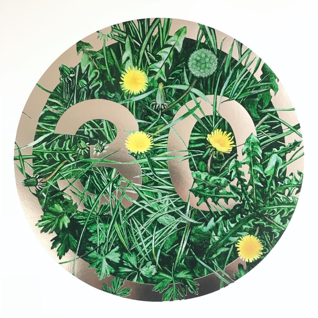 30mph (Dandelion, Buttercup and Brome). Digital & screen print on Minuet paper. Printed by Harwood King of Sussex with ‘30’ screen printed in silver ink. Edition of 25, printed area 30cm circular (paper 37cm square). £95 including UK mainland delivery.