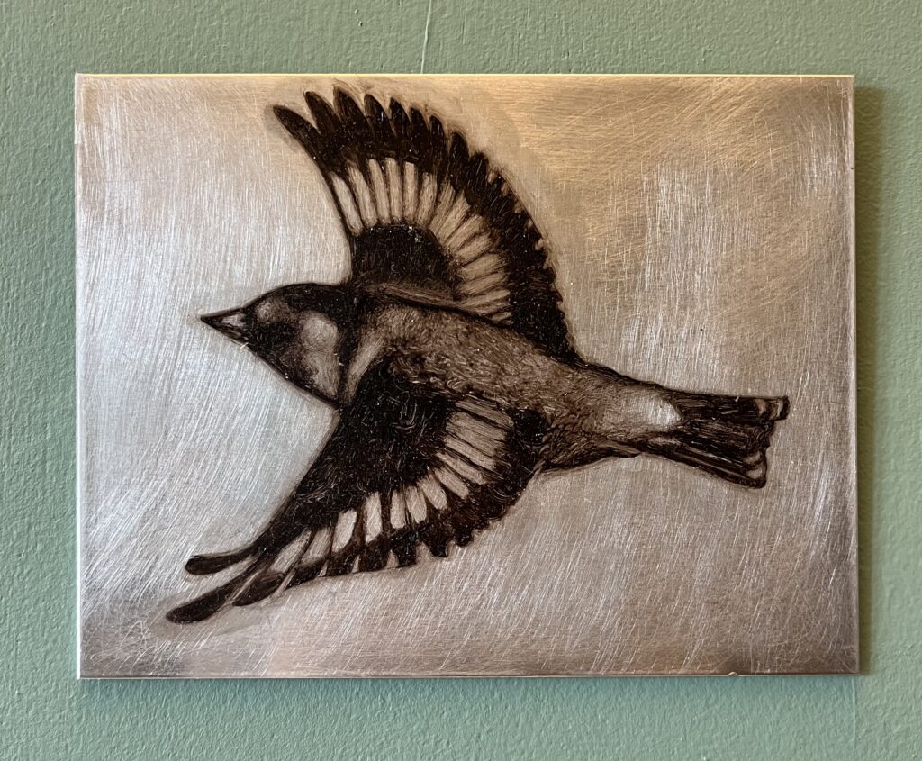 Goldfinch No. 1, oil on aluminium, 13 x 17cm, SOLD