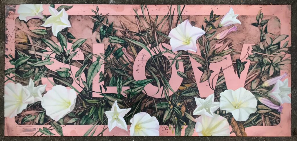 Slow (A26; Field Bindweed at Tarring Neville) oil on copper, 25 x 49cm (2024) £1400.